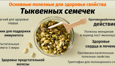 Польза тыквенных семечек для организма женщин и мужчин
